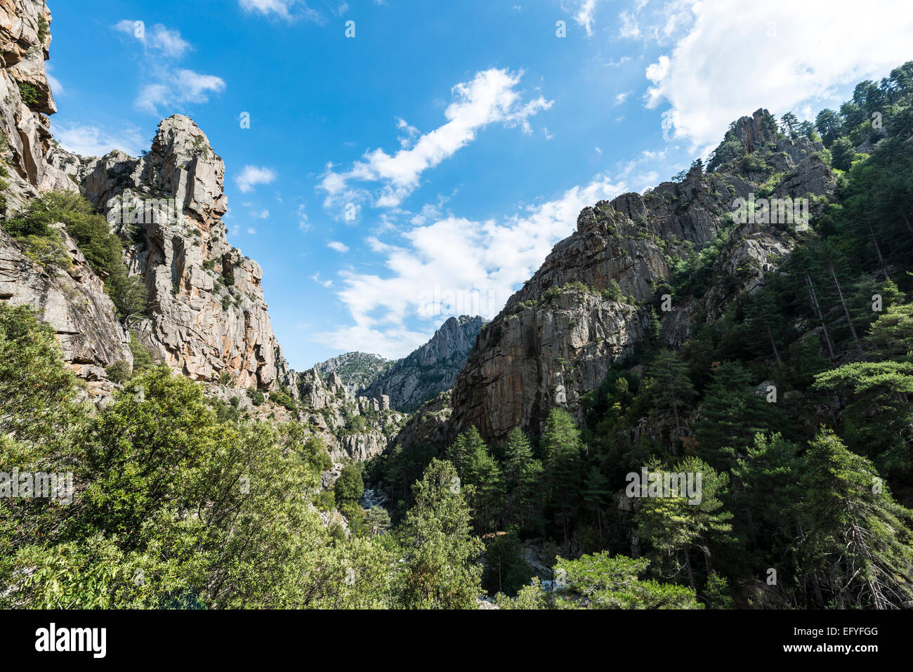 River bed and vaRMRMey, Tavignano river, Corte, Haute-Corse, Corsica, France Stock Photo