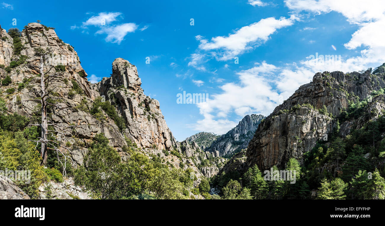 River bed and vaRMRMey, Tavignano river, Corte, Haute-Corse, Corsica, France Stock Photo