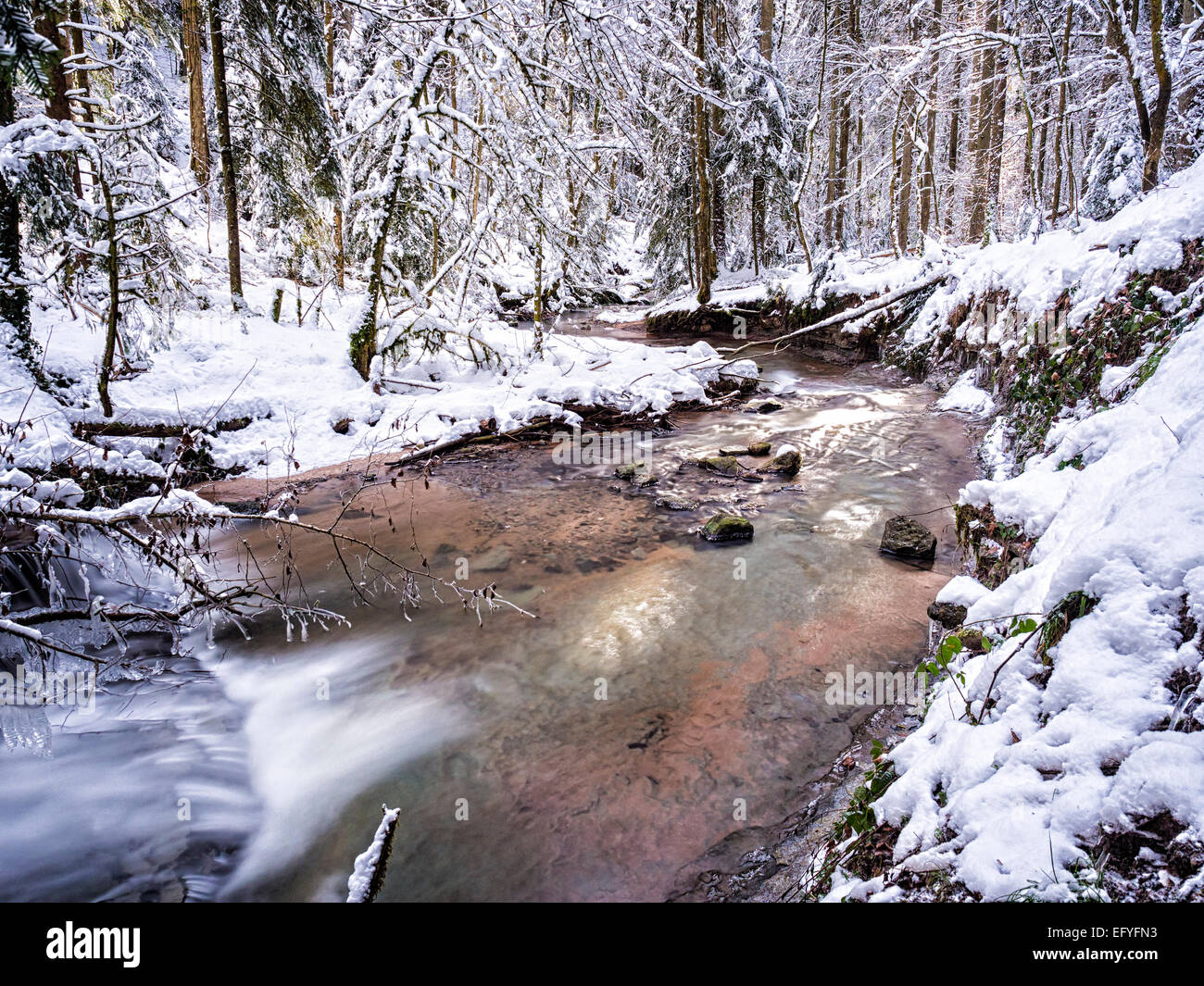 StrümpfeRMbach brook in the snowy forest, Swabian-Franconian Forest, Baden-Württemberg, Germany Stock Photo