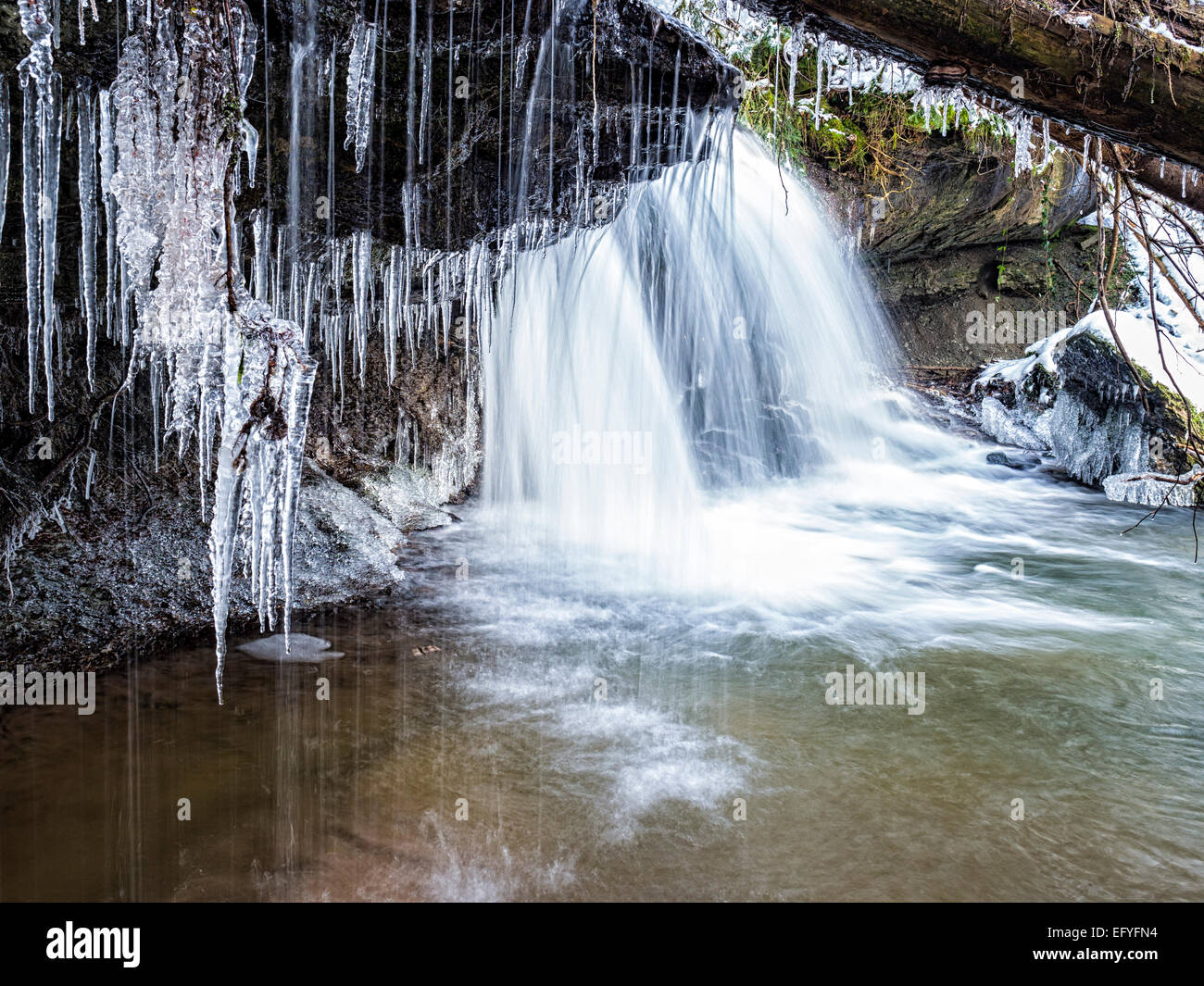 StrümpfeRMbach brook with icicRMes in winter, Swabian-Franconian Forest, Baden-Württemberg, Germany Stock Photo