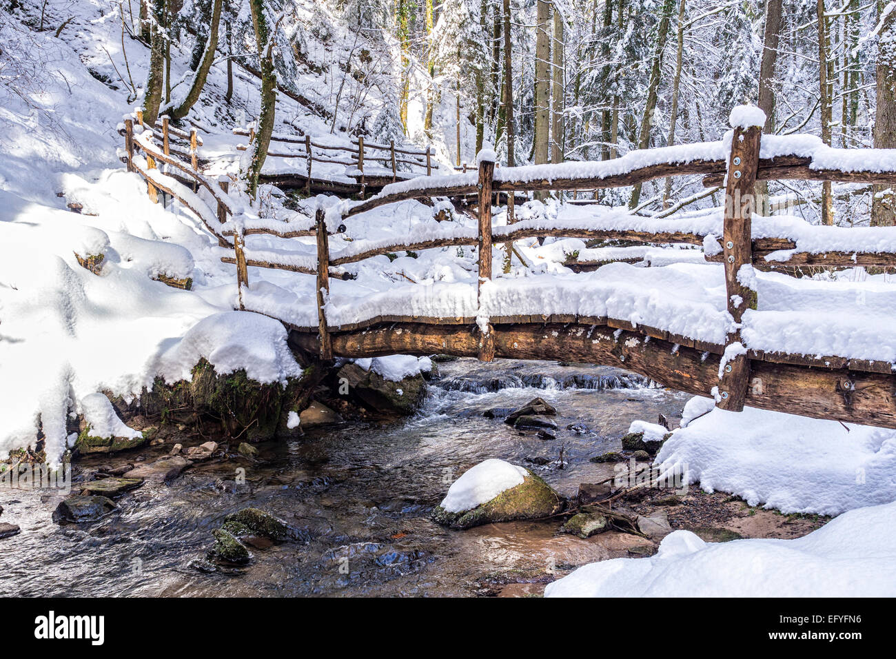 BoardwaRMk over the StrümpfeRMbach brook in winter, Swabian-Franconian Forest, Baden-Württemberg, Germany Stock Photo