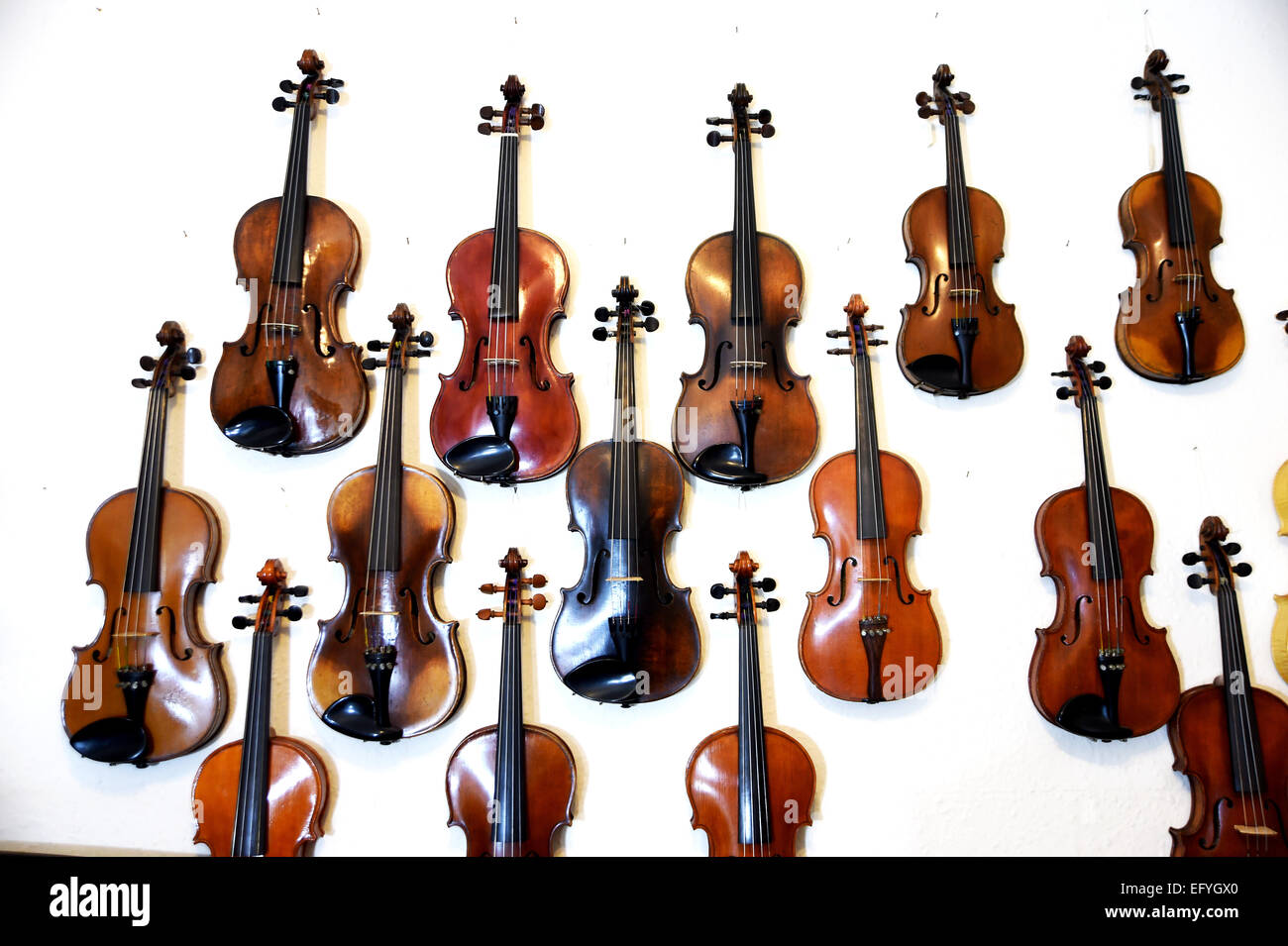 Old violins hanging on a white wall Stock Photo Alamy