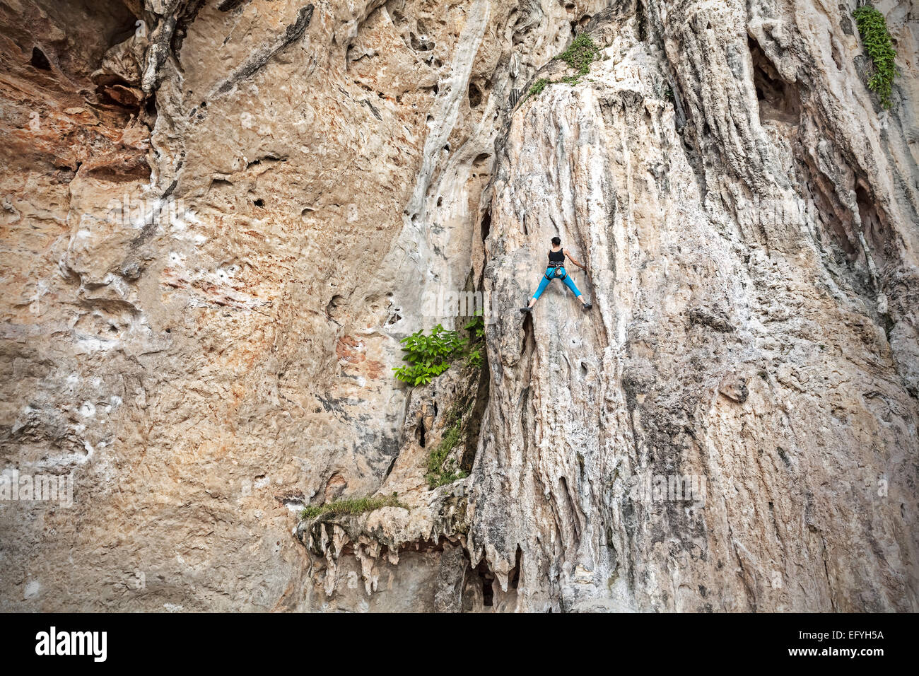 Young female rock climber on incredible wall, Railay Beach in Thailand. Stock Photo