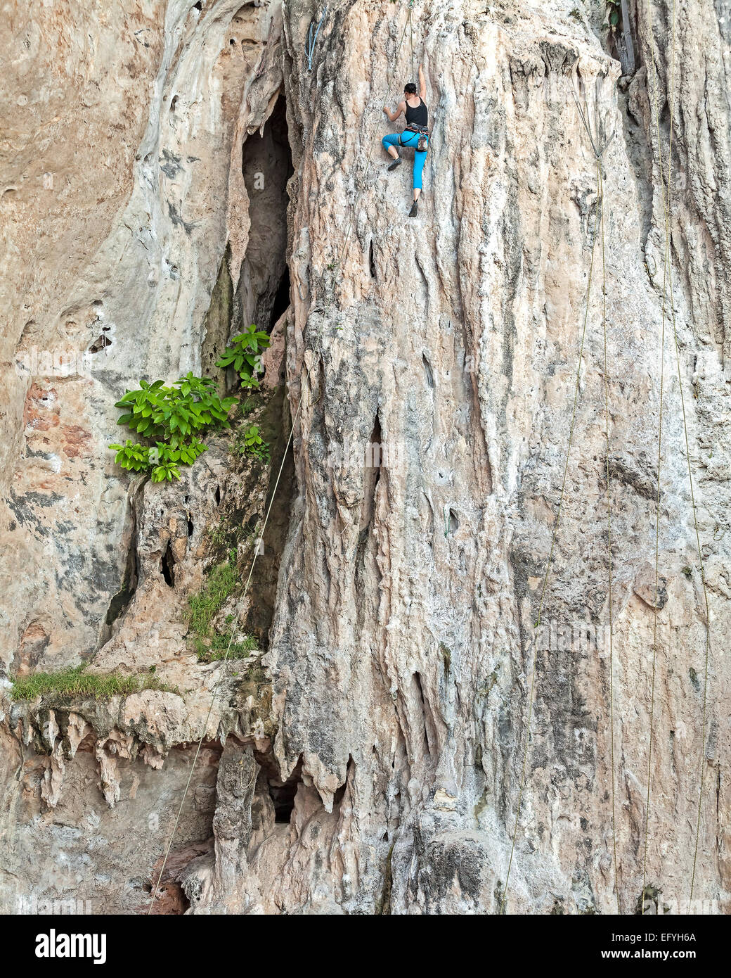 Young female rock climber, concept for overcoming obstacles. Stock Photo
