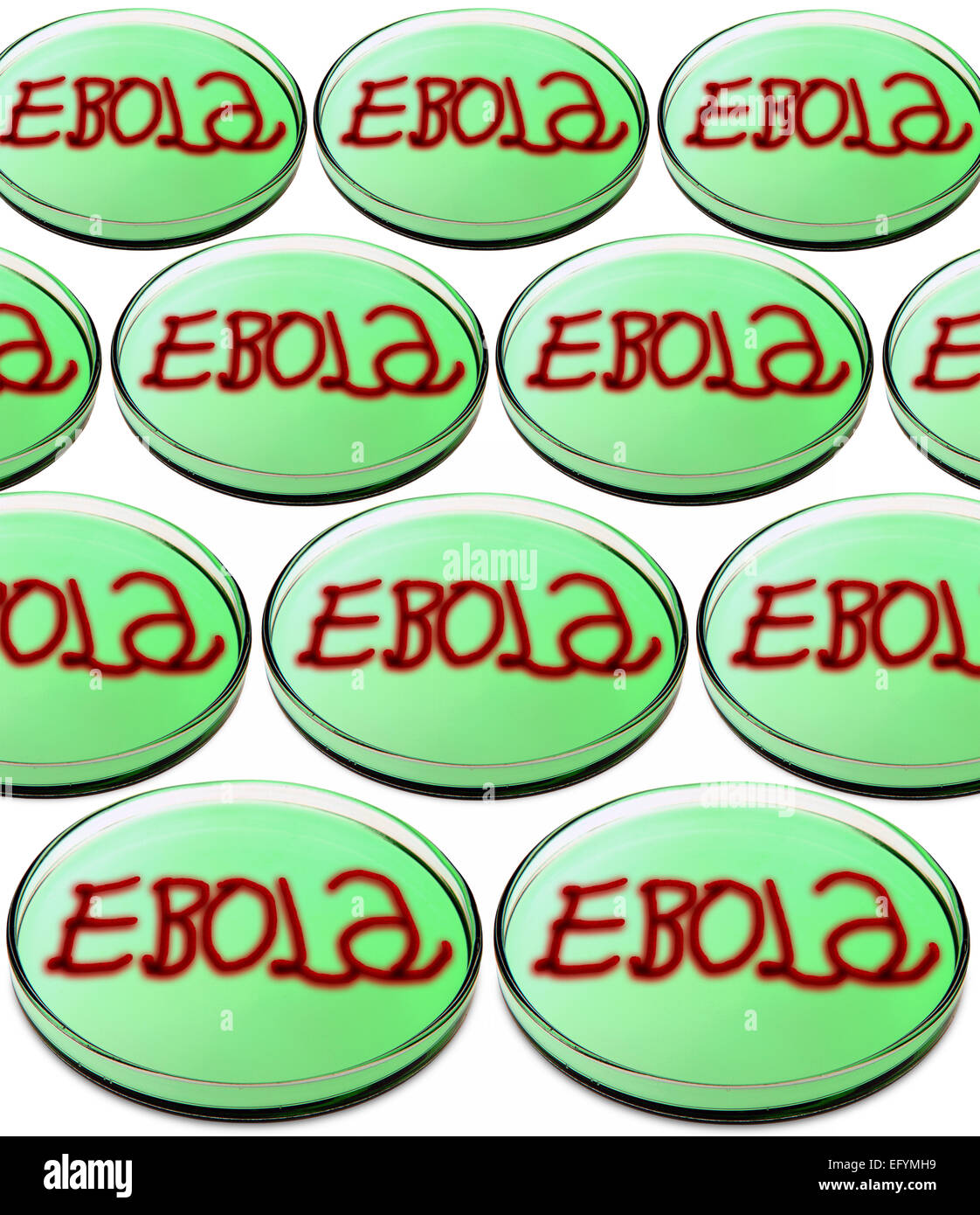 Ebola virus spelling out ebola in a petri dish Stock Photo Alamy