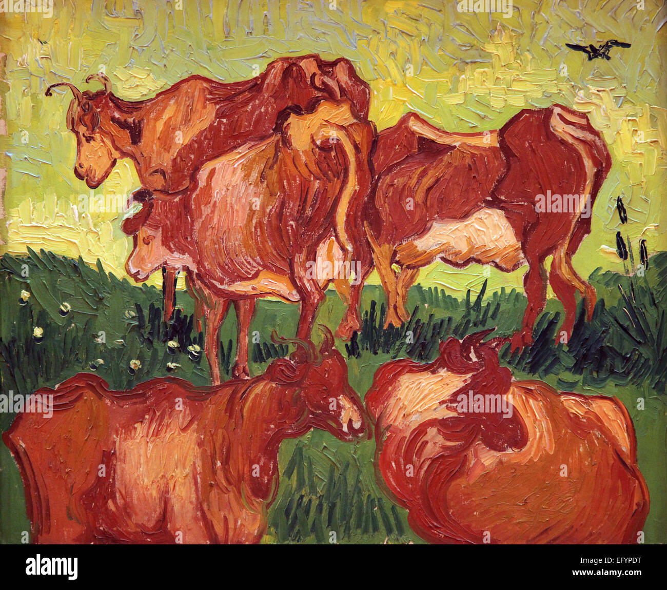 Vincent van Gogh.1853-1890.Cows.after Jacob Jordeans. Stock Photo