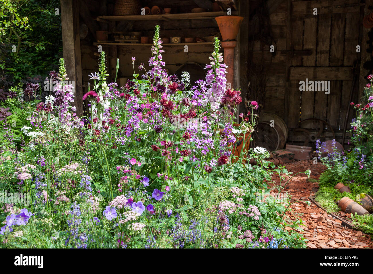 Garden shed with path made of broken terracotta pieces and cottage garden planting - Design: Nature Redesigned, Chelsea Flower Show 2014 Stock Photo