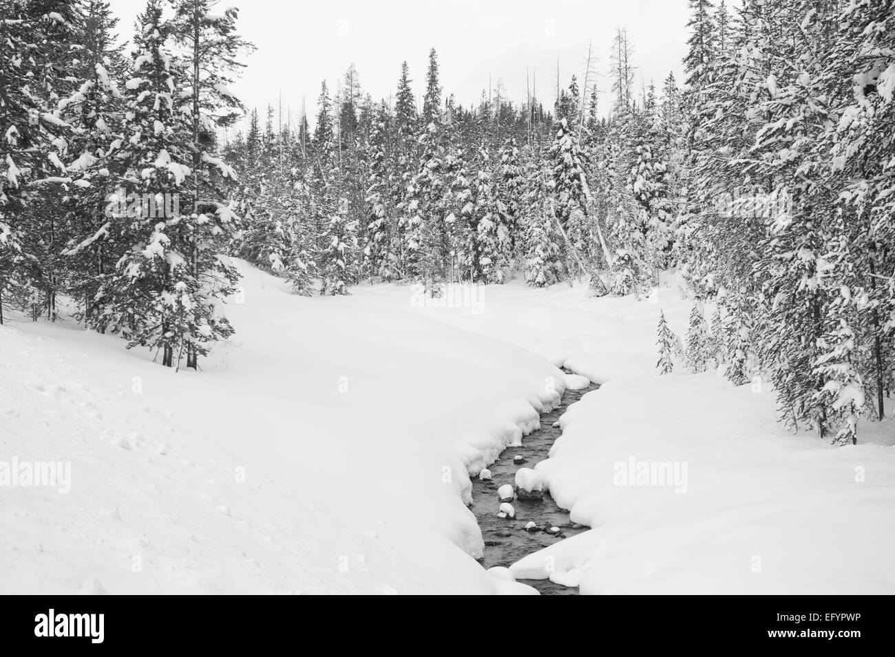 Winter Mountain River Landscape Stock Photo - Alamy