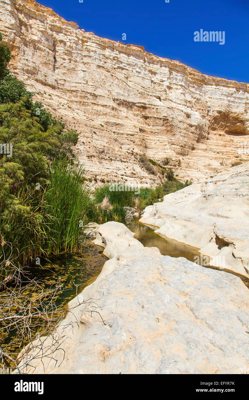landscape gorges in the Negev desert rocks and greenery Stock Photo - Alamy
