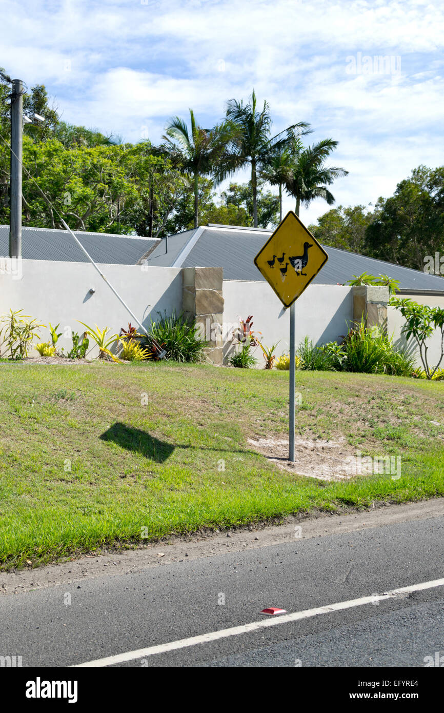 Duck road sign in Australia Stock Photo