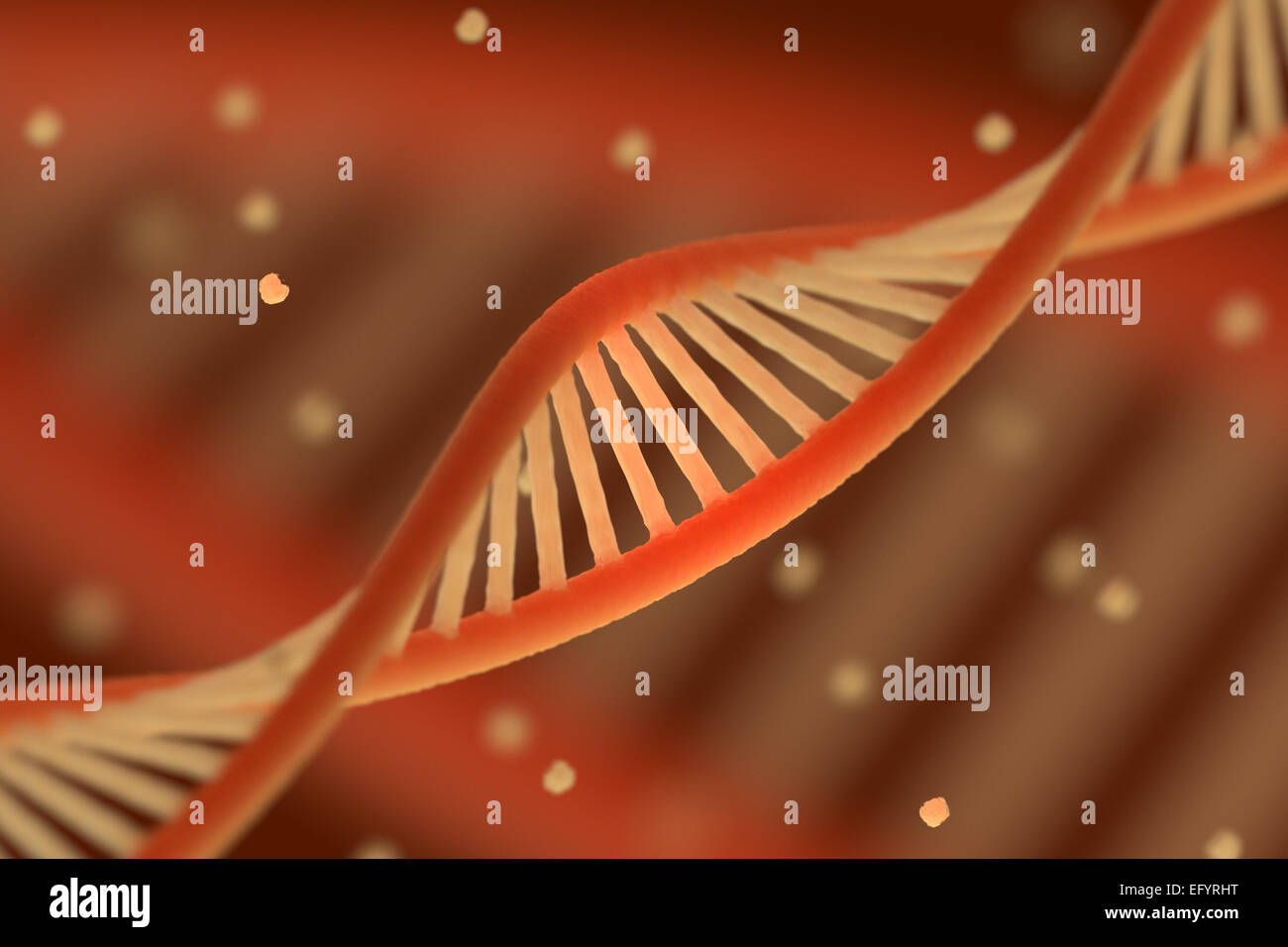 DNA chain macroshot Stock Photo - Alamy