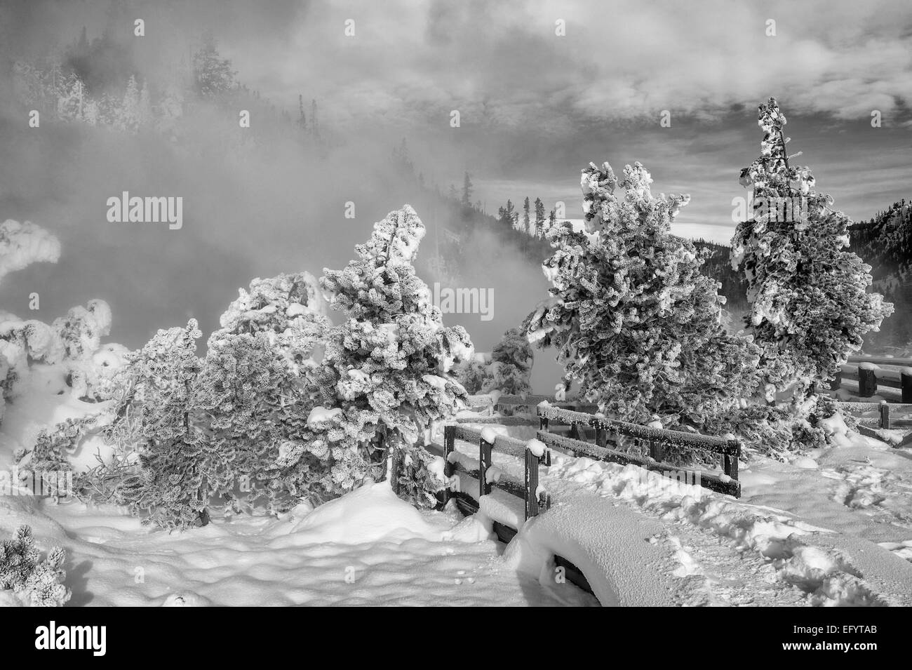 Winter Mountain River Landscape Stock Photo