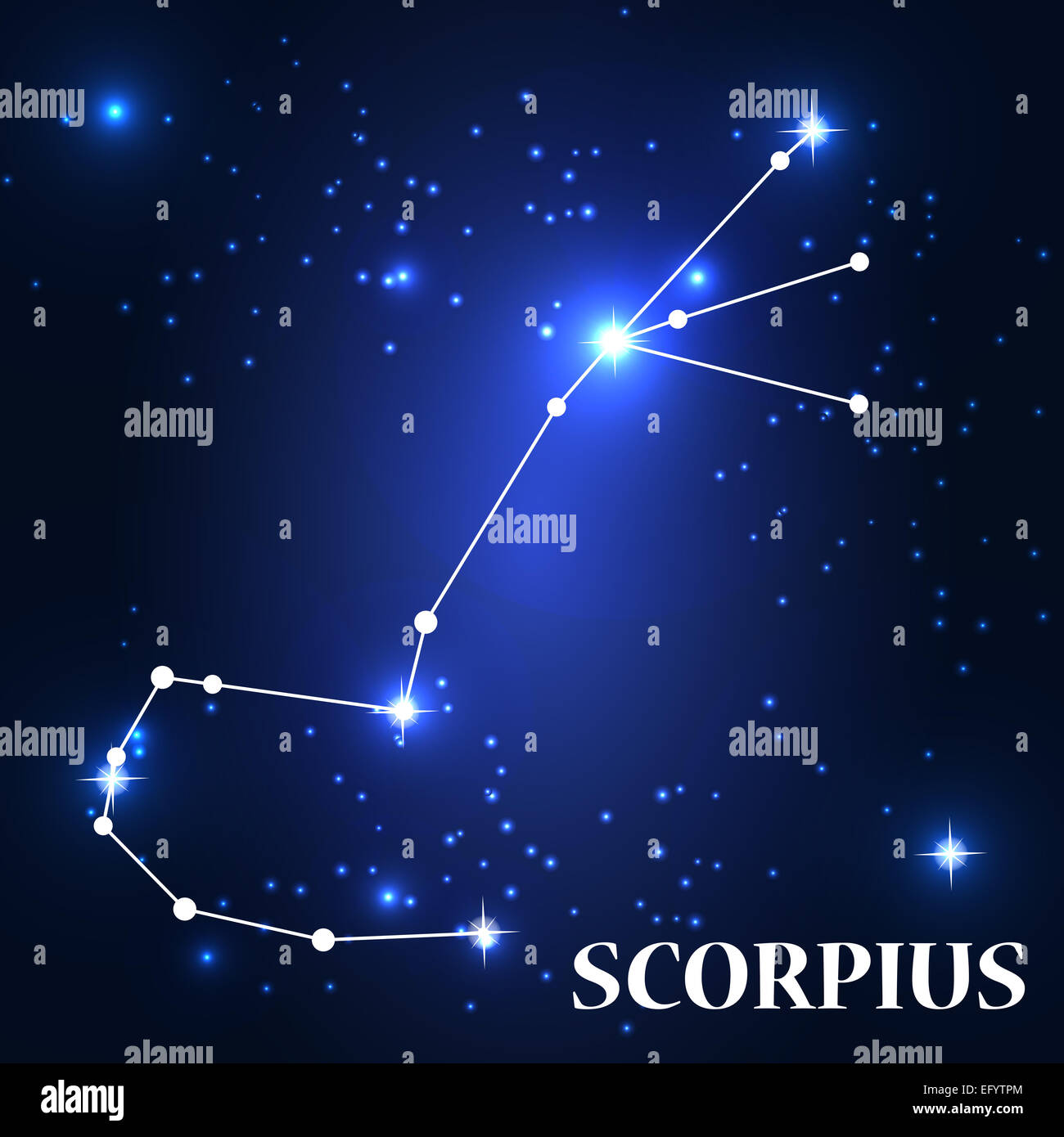 Symbol: Scorpius Zodiac Sign. Vector Illustration. Stock Photo