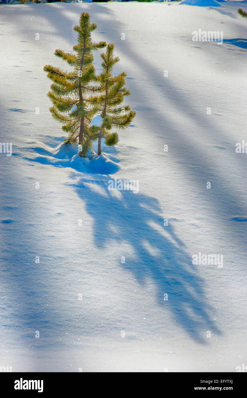 Winter Mountain River Landscape Stock Photo
