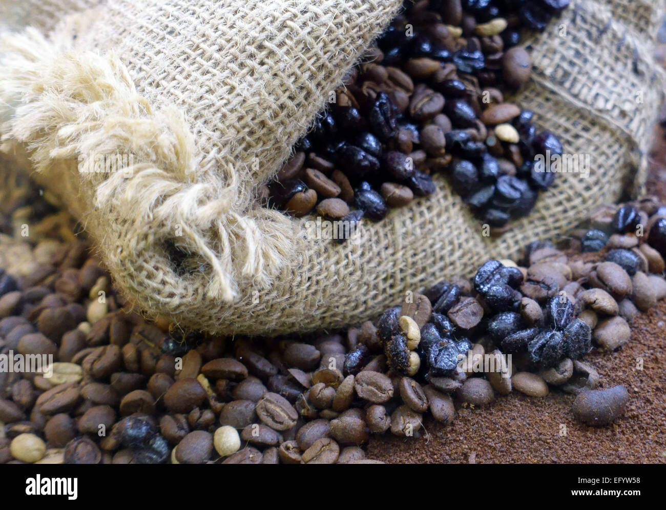 Coffee bean display hires stock photography and images Alamy