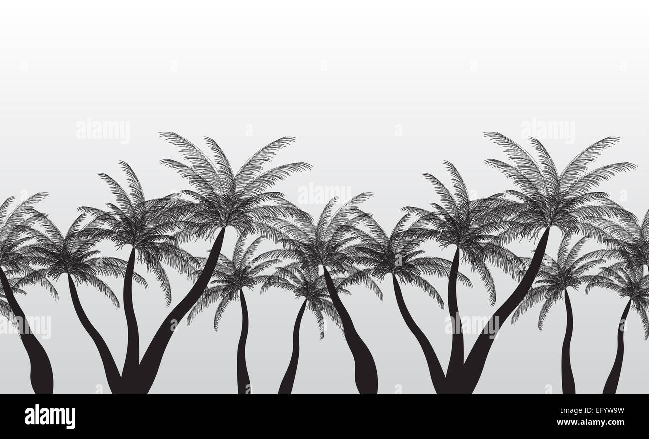 Seamless Pattern Palm Silhouette. Vector Illustration. Stock Photo