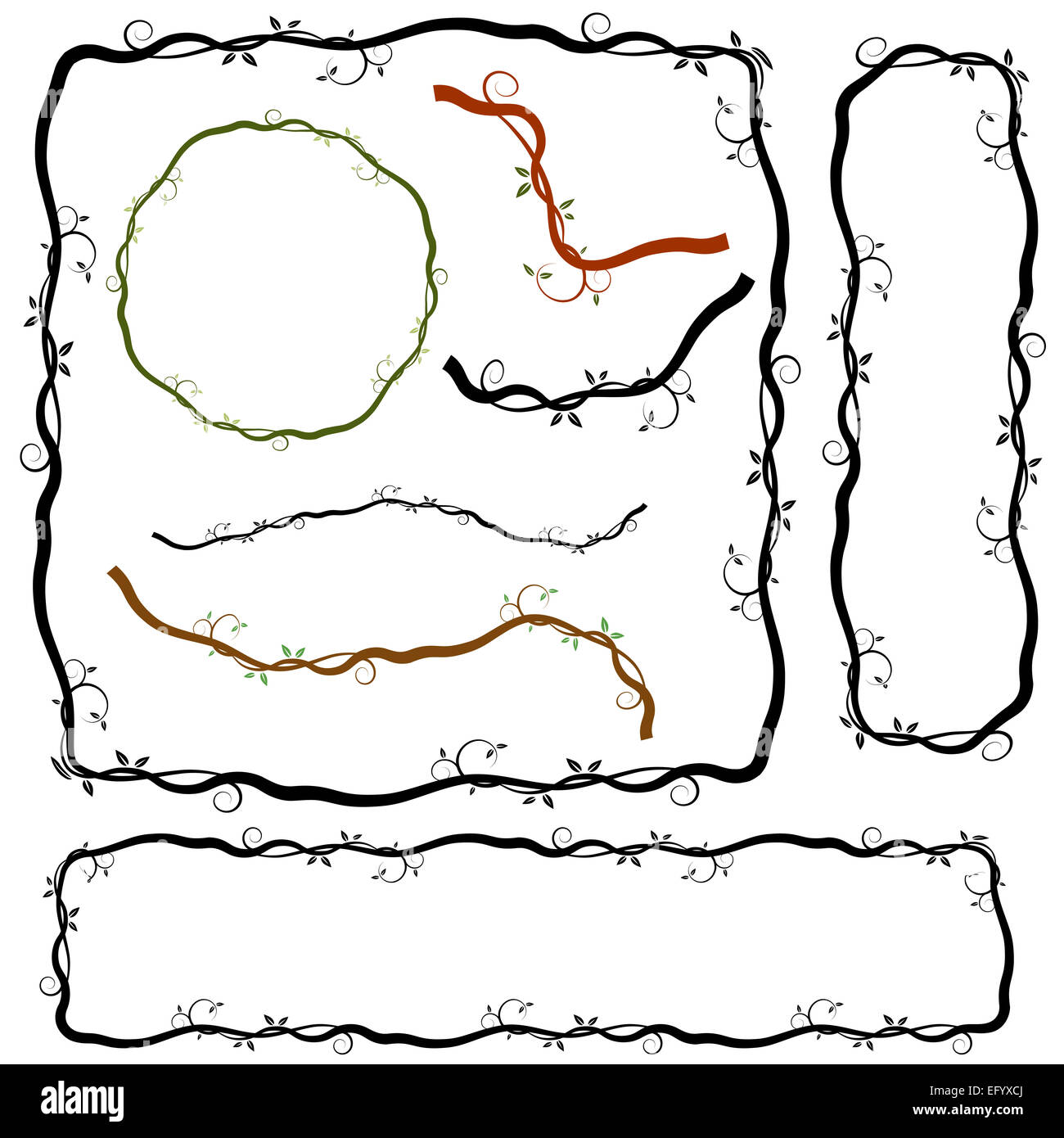 An image of a swirl vine plant border branches Stock Photo Alamy