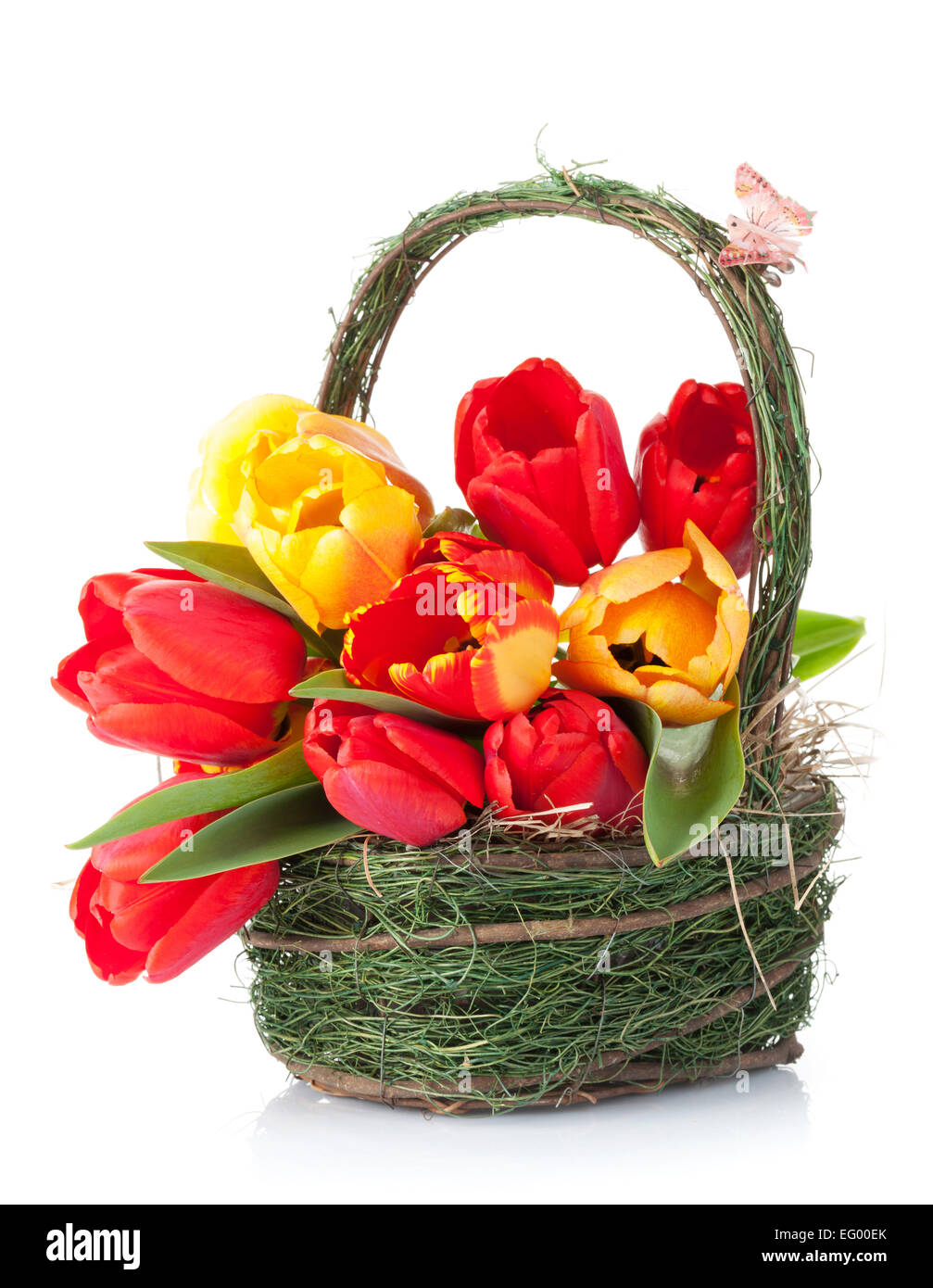 Fresh colorful tulips bouquet in basket. Isolated on white background Stock Photo