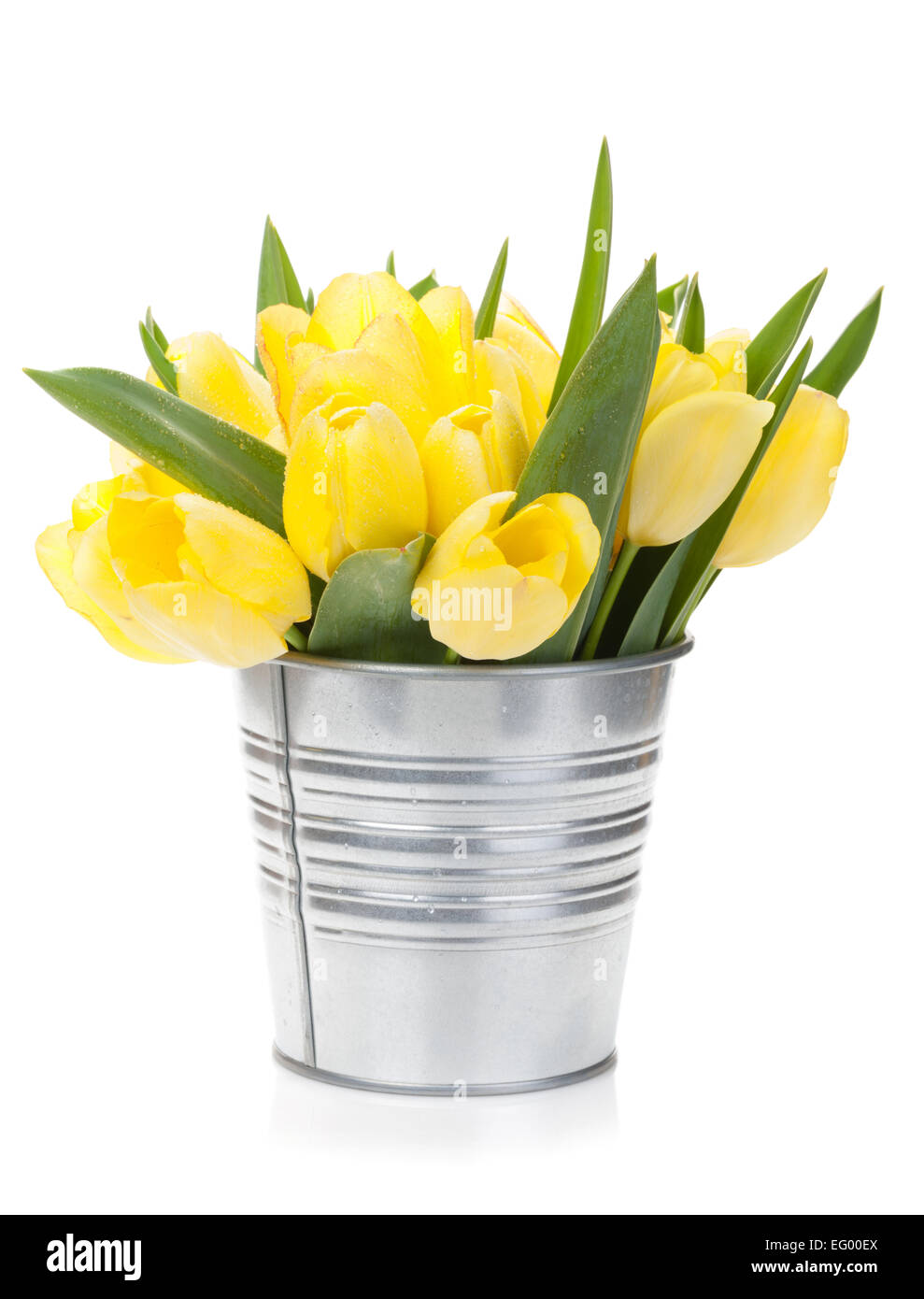 Fresh yellow tulips bouquet. Isolated on white background Stock Photo ...