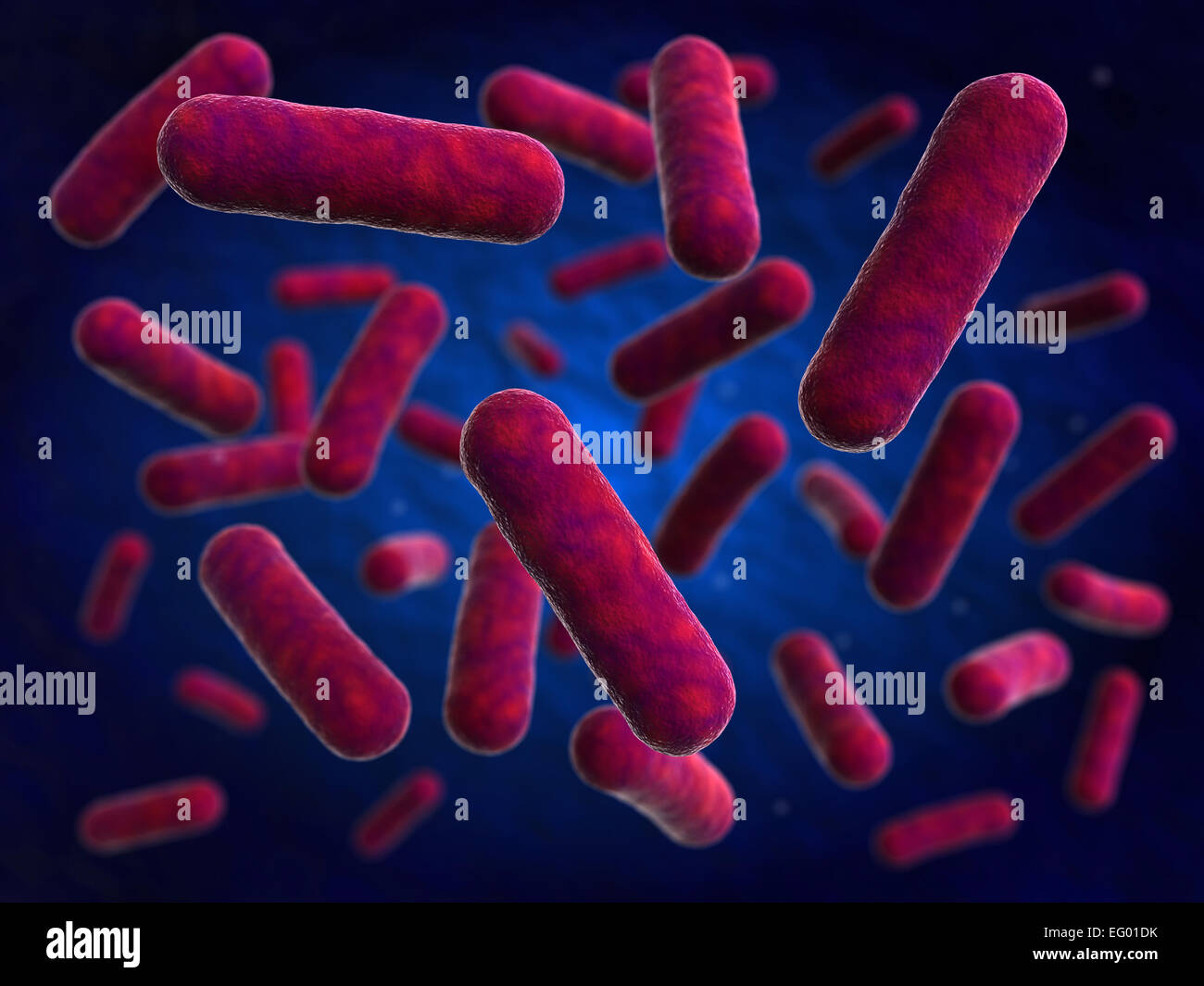 3d render of bacteria cells Stock Photo
