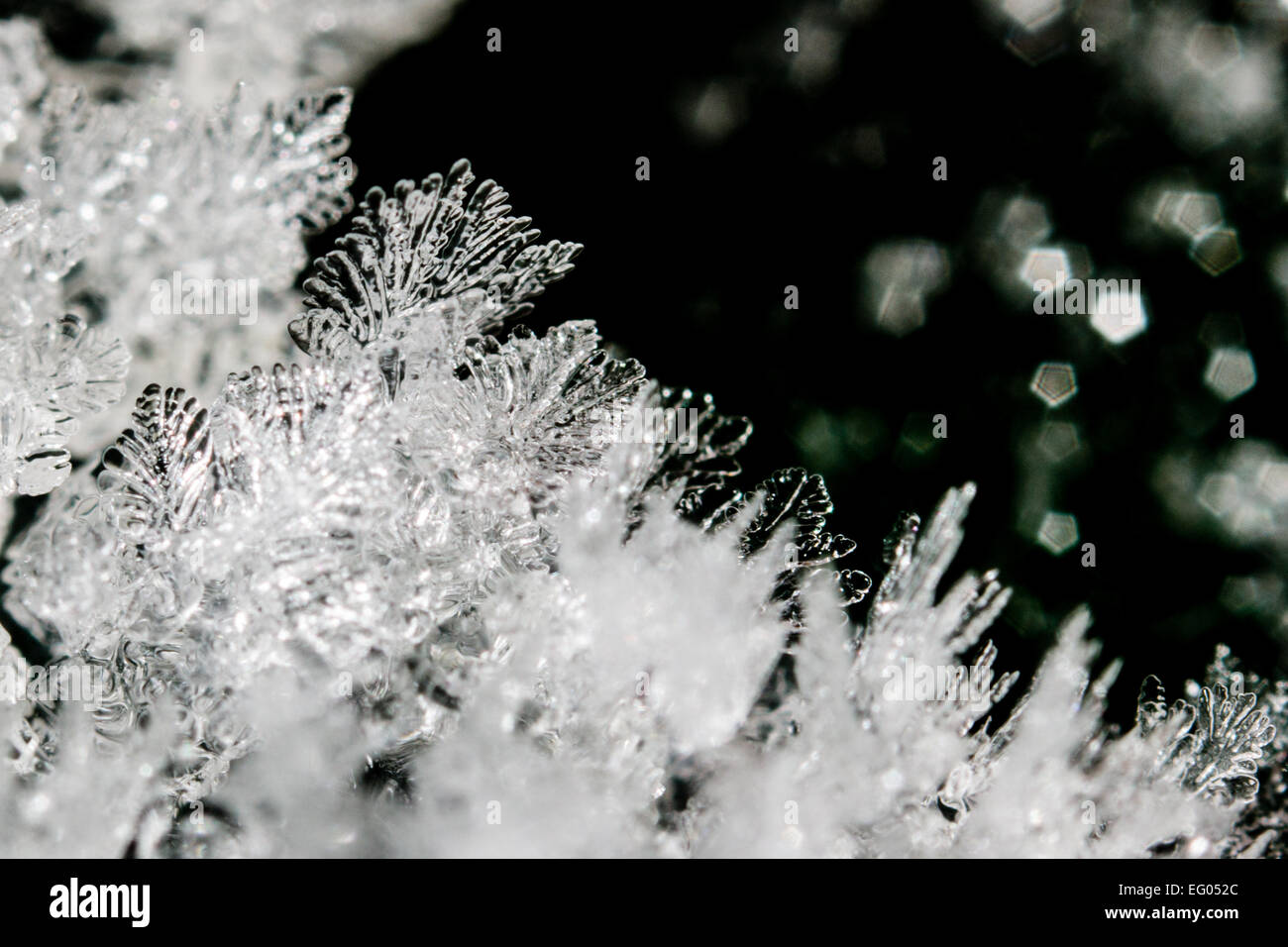 Frozen ice crystals in snow and frost in winter, close up, macro, selective focus with space for text or copy. Stock Photo