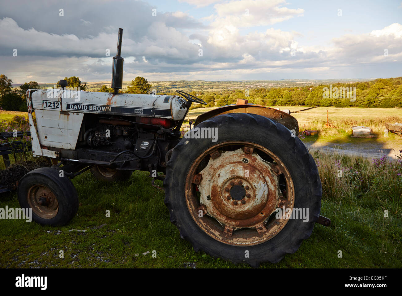 1212 david brown old vintage tractor on farm Stock Photo