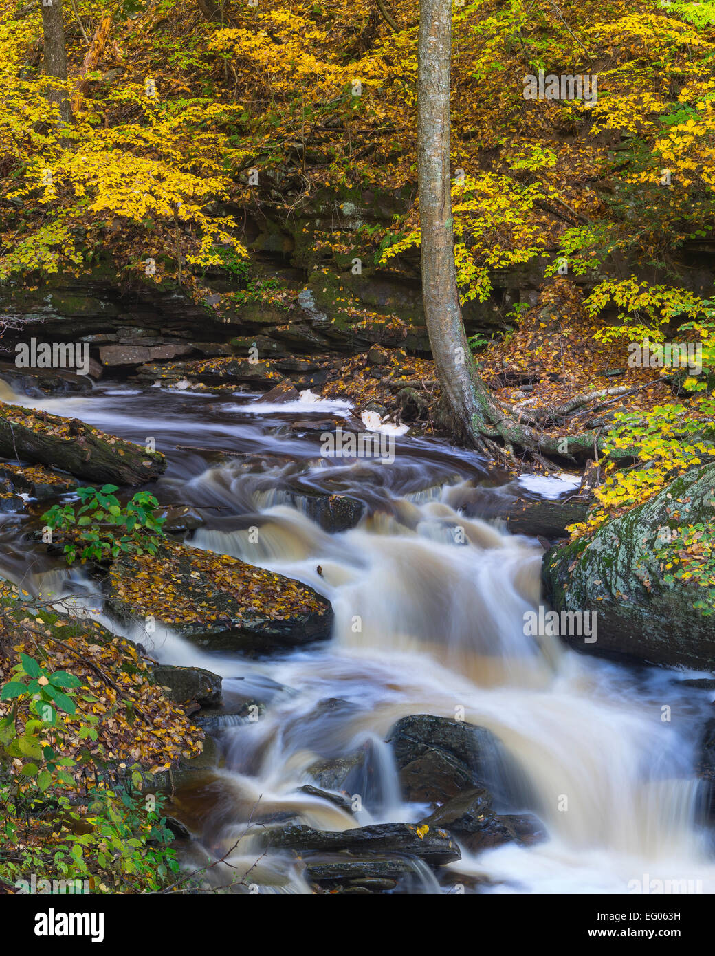 Ricketts Glen State Park, PA: Small Falls on Kitchen Creek in autumn