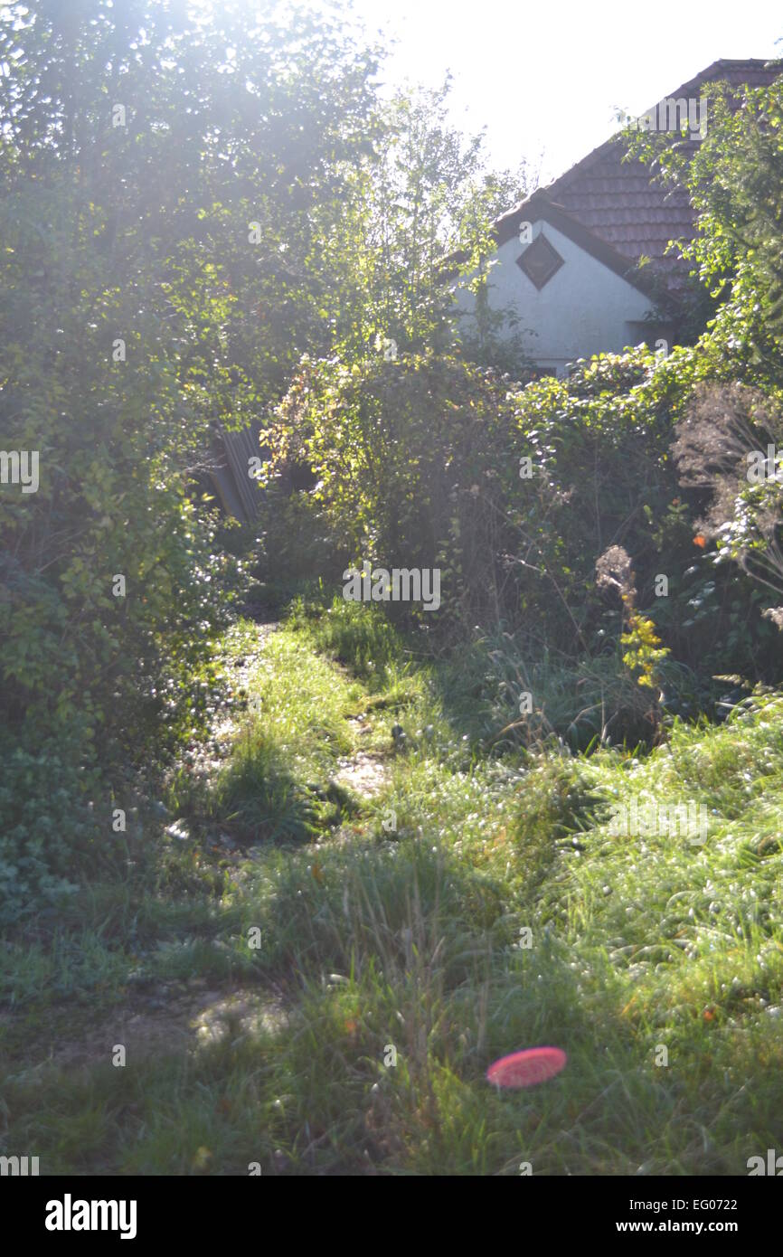fairys, abandoned cottage, village, overgrown, green, autumn Stock Photo