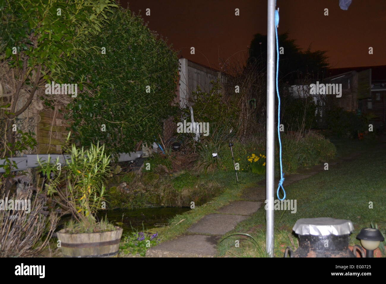 night photography, light pollution, garden, rope Stock Photo