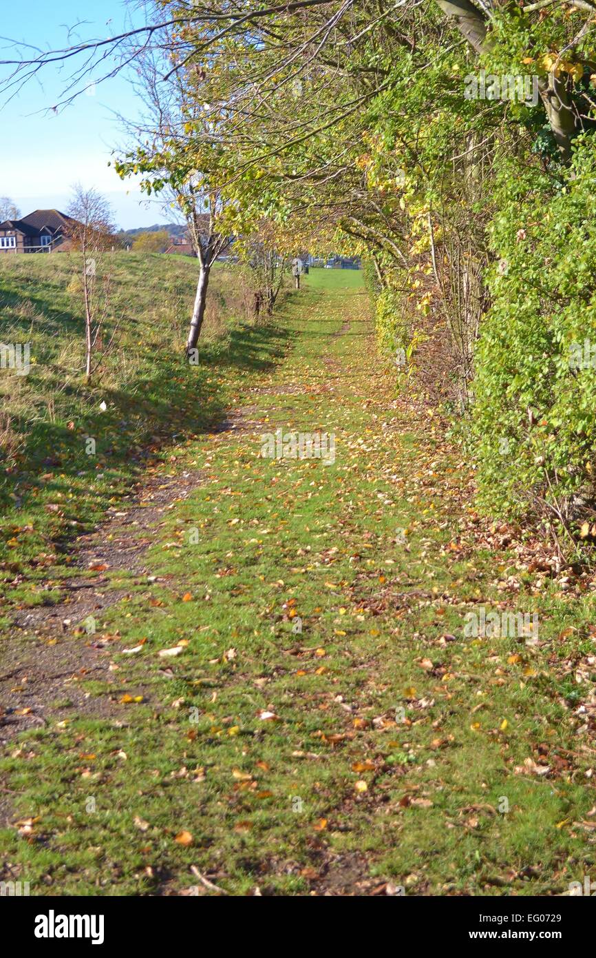 mystery, spring time, walk, trees and gardens, leaves on the ground, winter sun Stock Photo