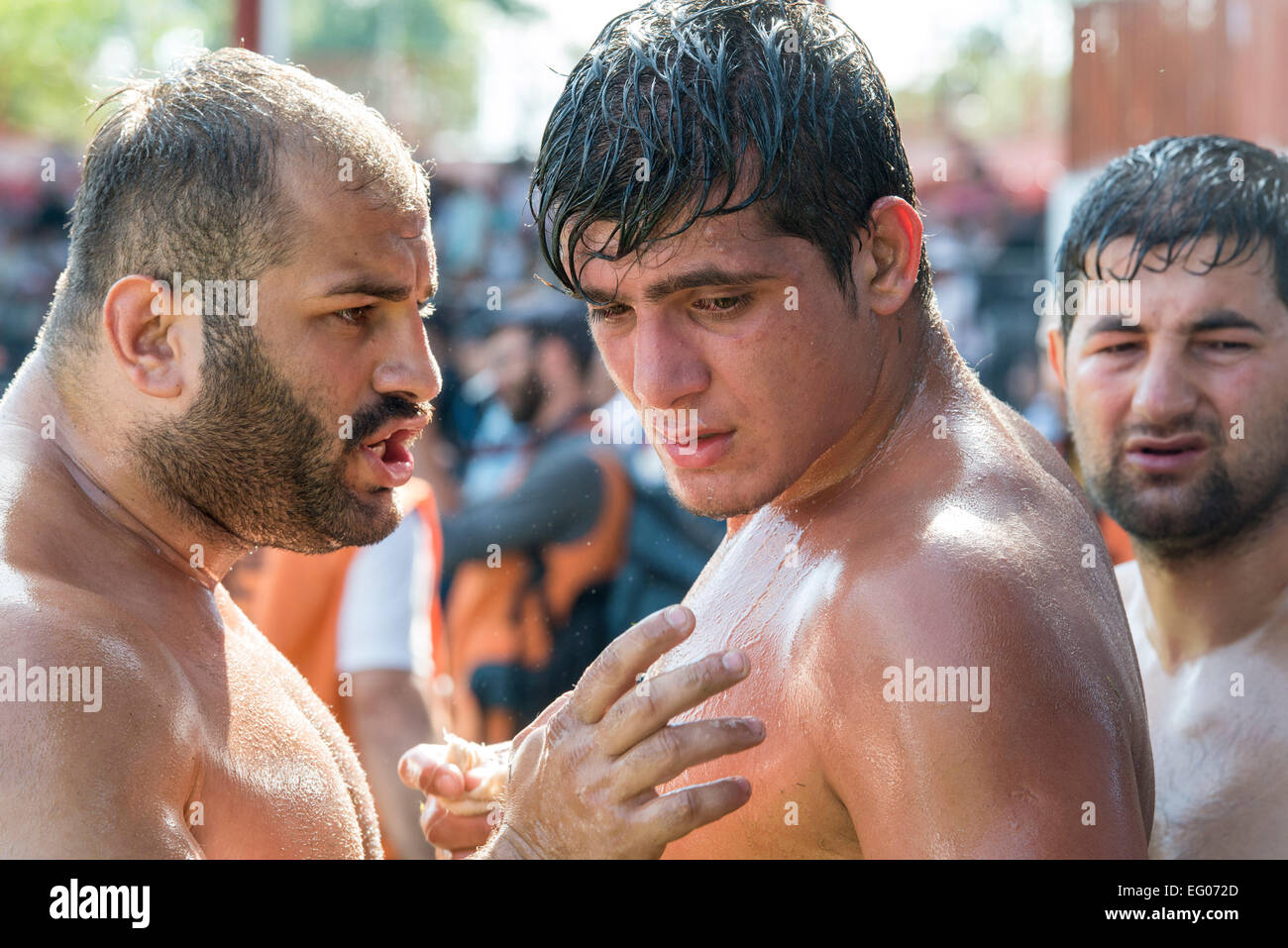 Oiled Wrestling High Resolution Stock Photography and Images - Alamy