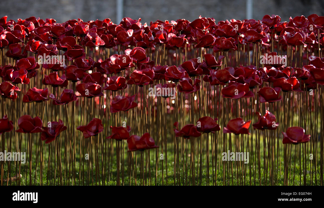A general view shows the 'Blood Swept Lands and Seas of Red' installation by ceramic artist Paul Cummins and theatre stage designer Tom Piper, marking the centenary of the outbreak of the First World War, in the moat area of the Tower of London in London on November 10, 2014. Stock Photo