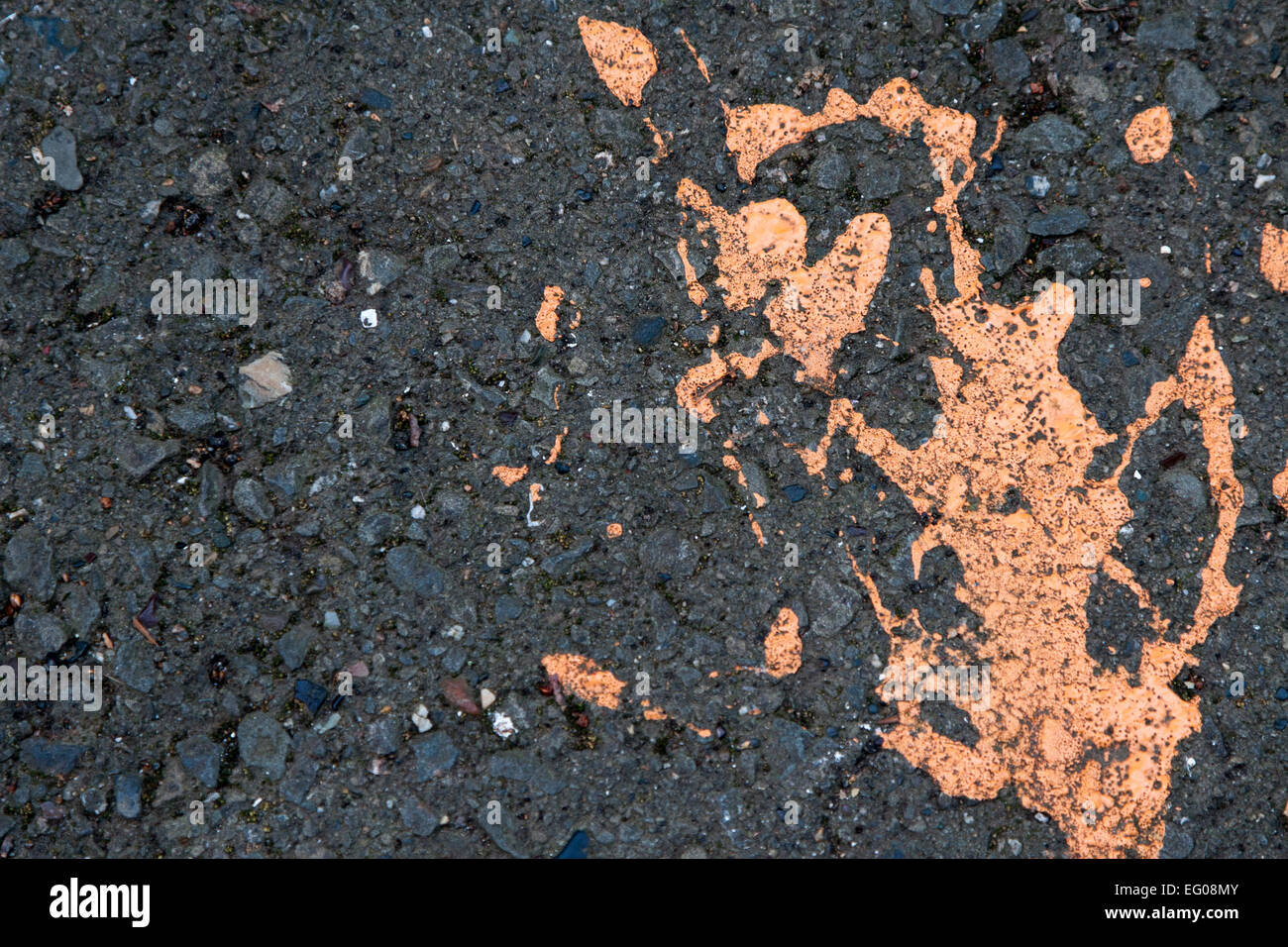 Orange paint splatter on asphalt in Berkeley, California. Stock Photo