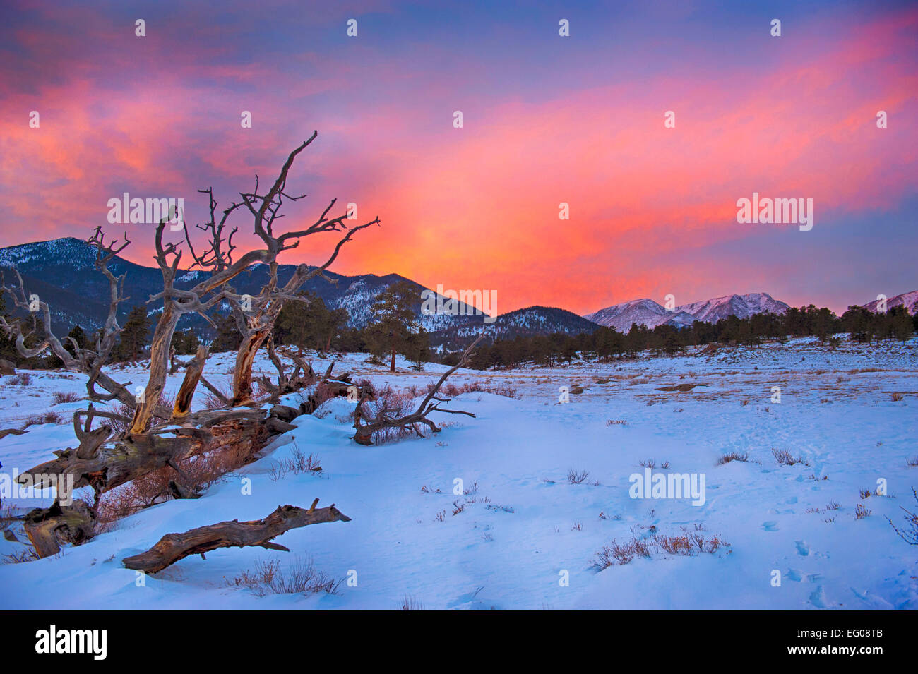 Rocky Mountain National Park, sunset, winter, Landscape, snow, fallen tree high contrast Stock Photo