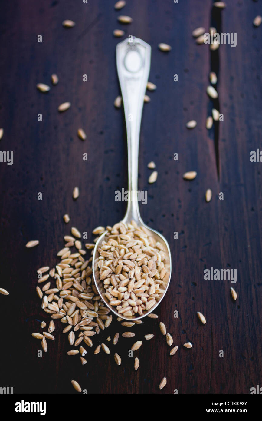 Farro wheat hires stock photography and images Alamy
