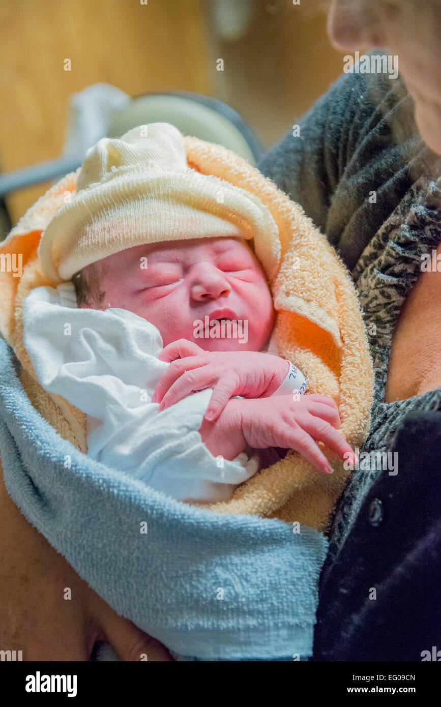 Grandmother holds new born baby grandson. Stock Photo