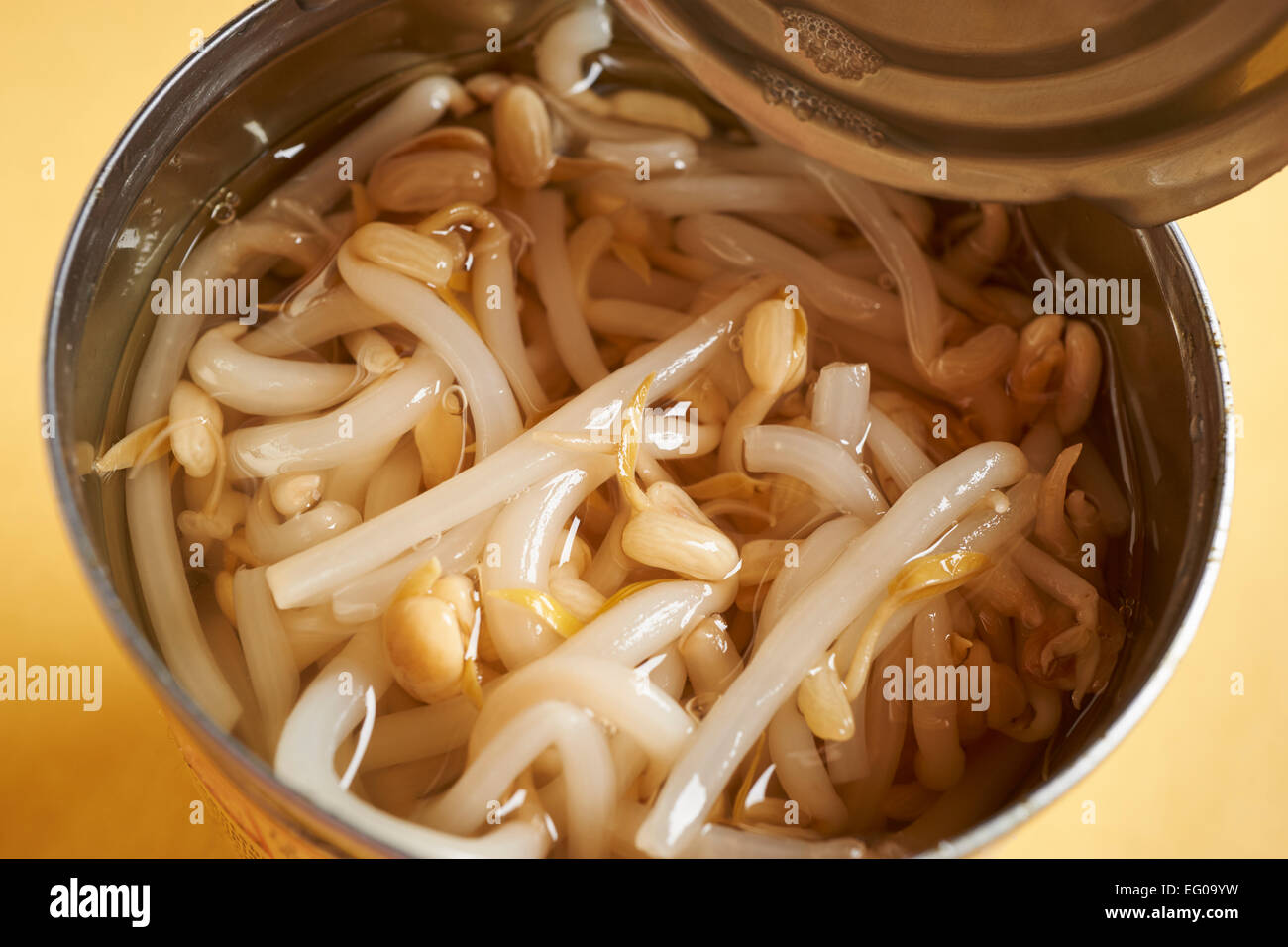 Canned Bean Sprouts Stock Photo Alamy