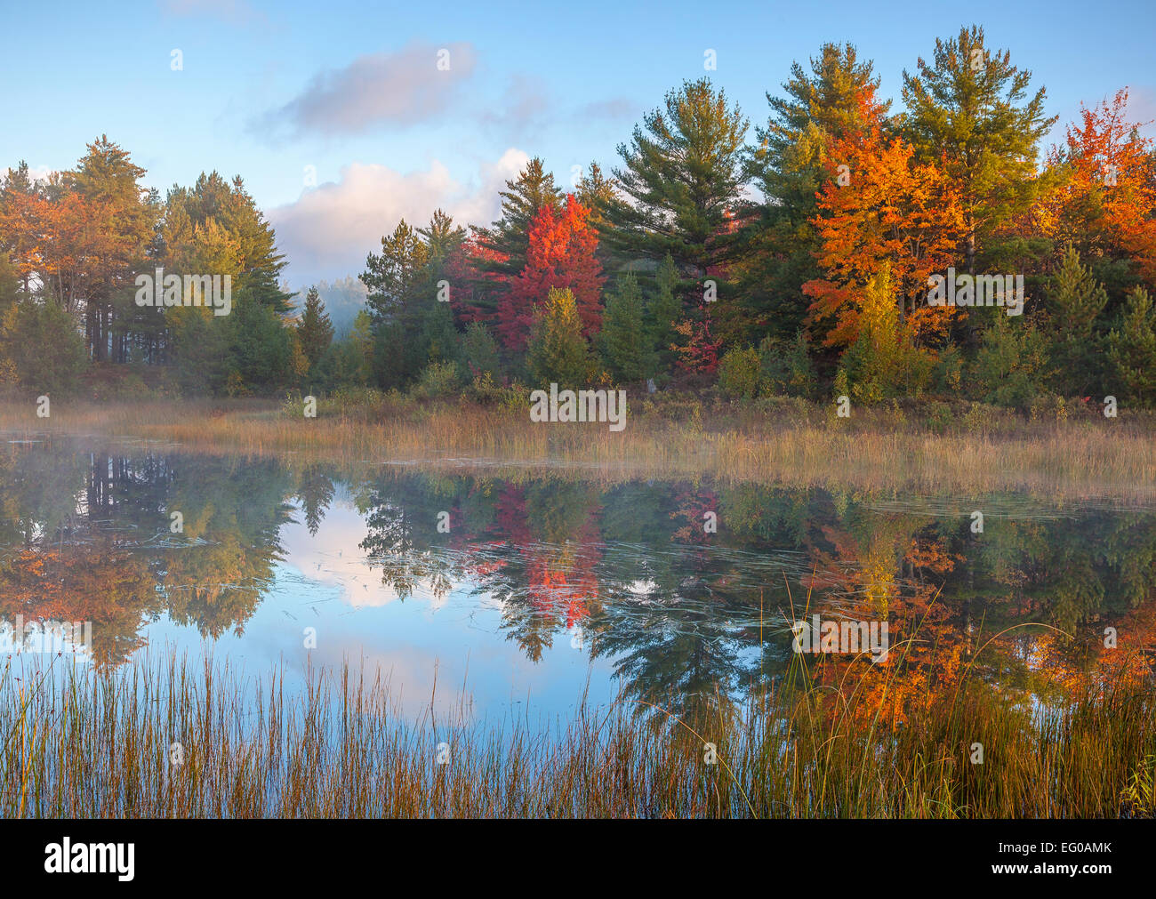 Lake Superior State Forest, Michigan: Dawn reflections on Kingston Lake with autumn colored forest Stock Photo