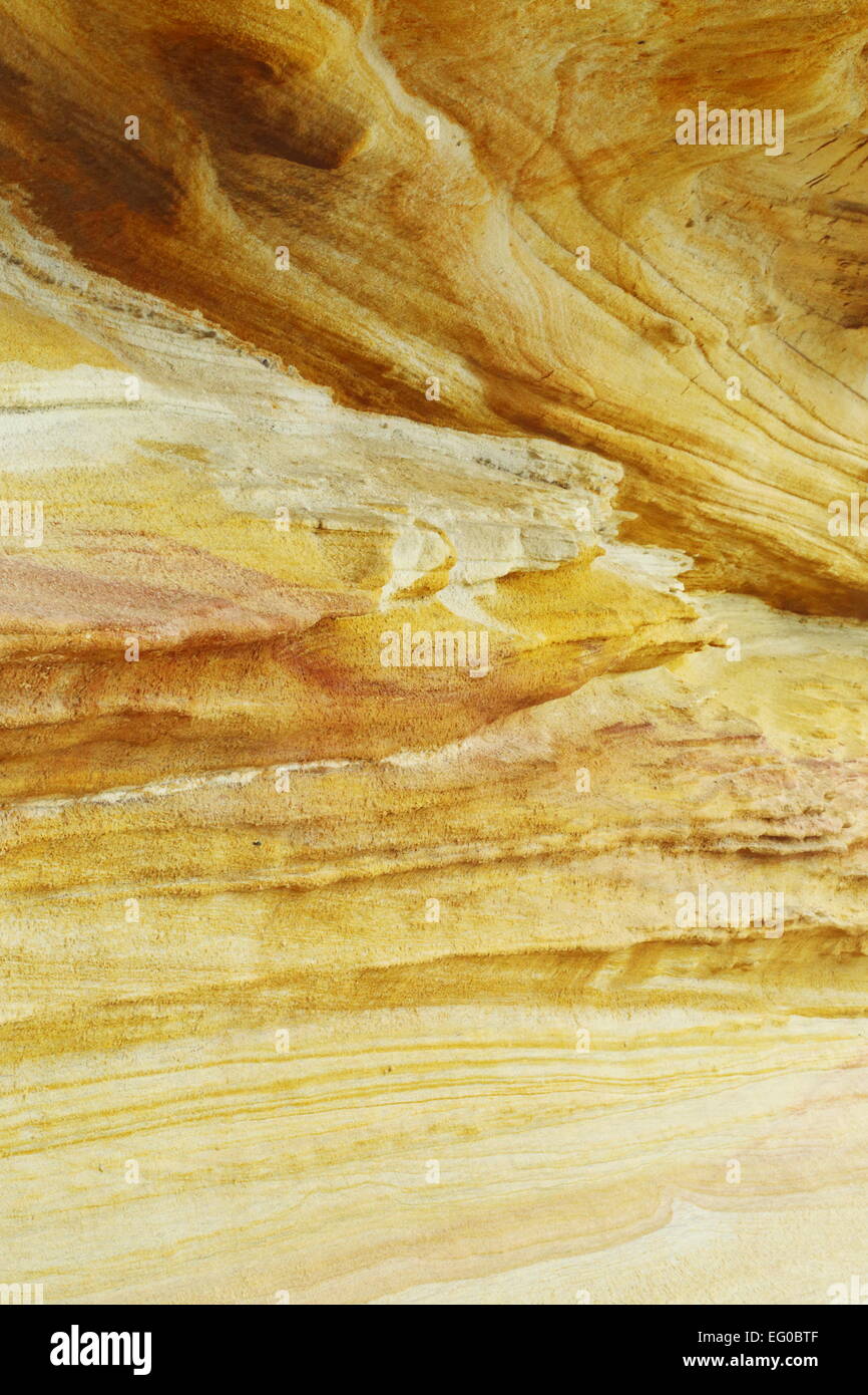 Eroded sandstone bluff on the shore of Botany Bay at La Perouse, New ...