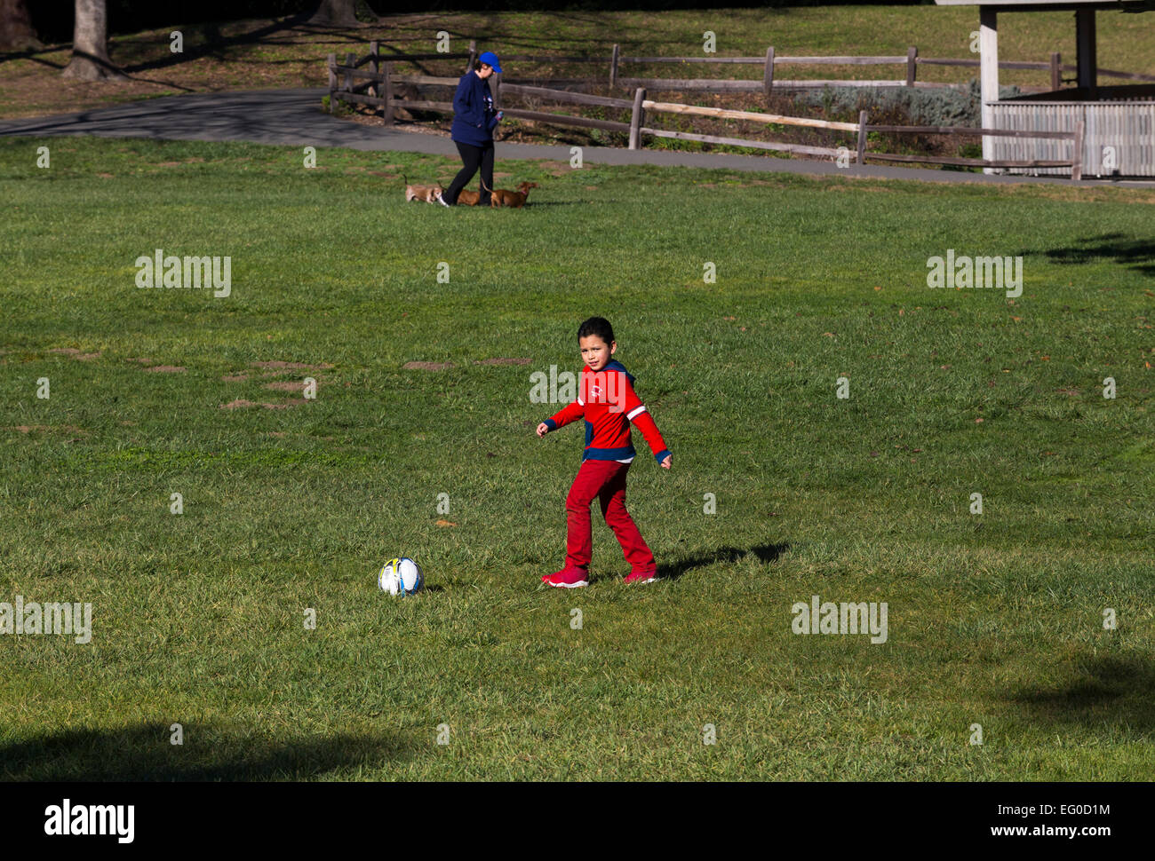 young Hispanic boy learning to play soccer by kicking soccer ball while playing soccer in Pioneer Park in the city of Novato California Stock Photo