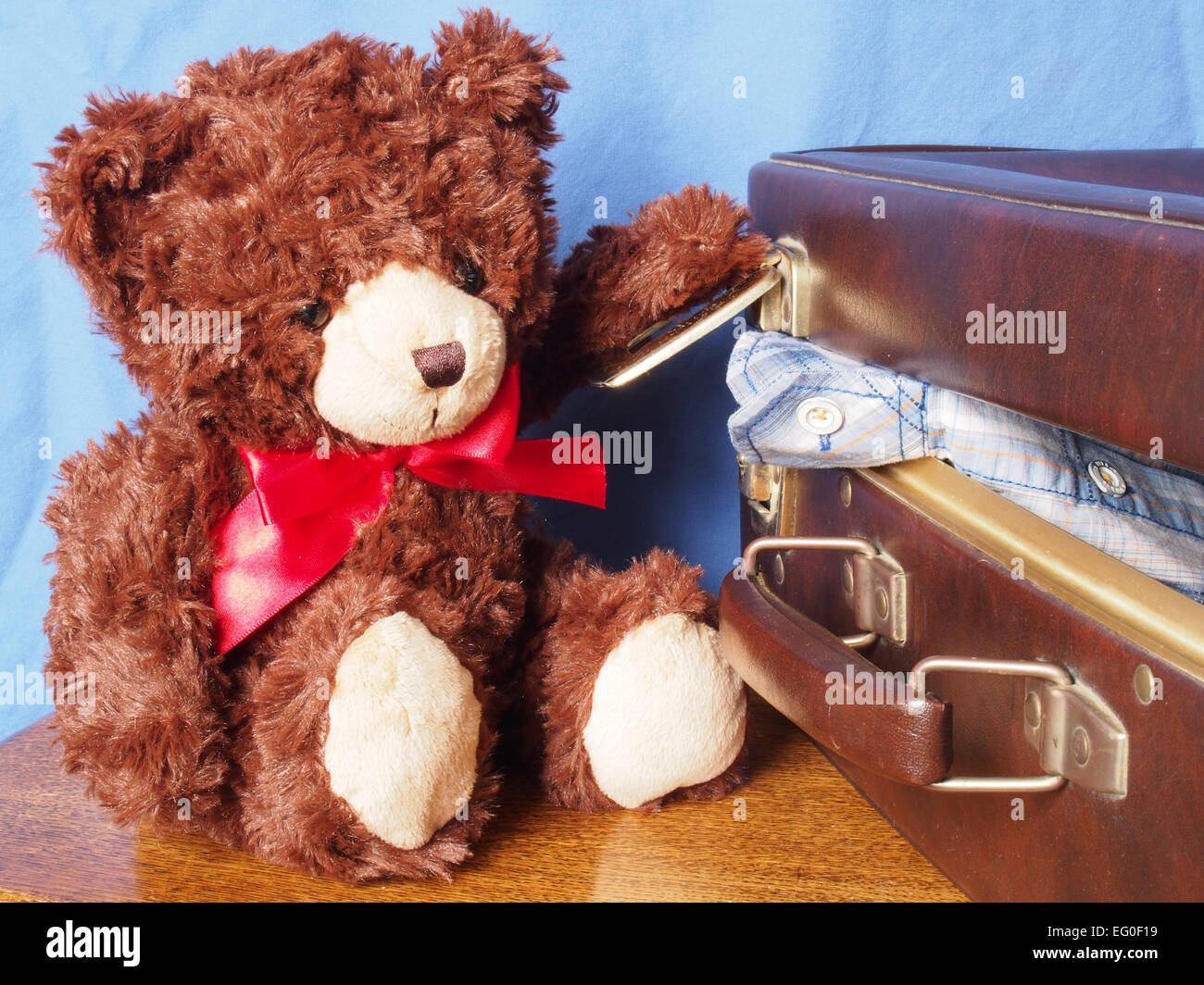 Teddy bear packing to go on holiday but struggling with the suitcase Stock Photo