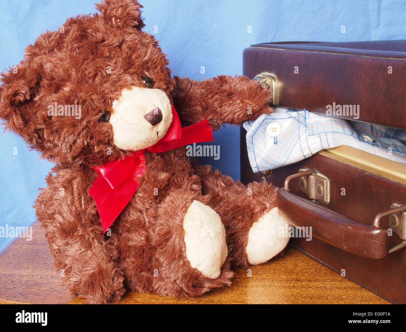 Teddy bear packing to go on holiday but struggling with the suitcase Stock Photo