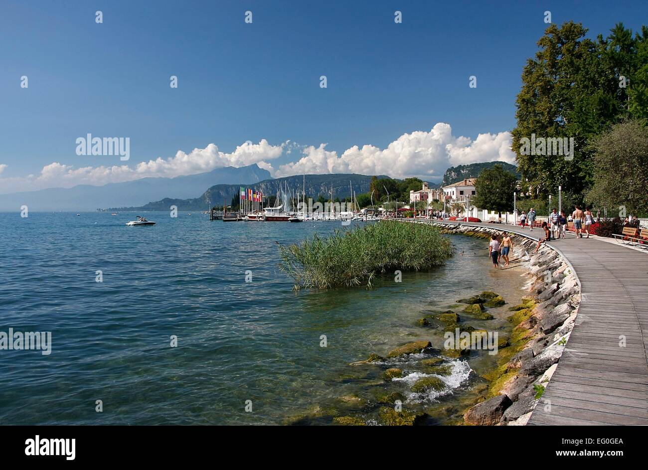 The waterfront of Bardolino invites you to sit down and relax. Lots of trees, including olive trees provide shade. From Lake Garda is always blowing a light and refreshing breeze. Bardolino is a town on the eastern shore of Lake Garda. Photo: Klaus Nowottn Stock Photo