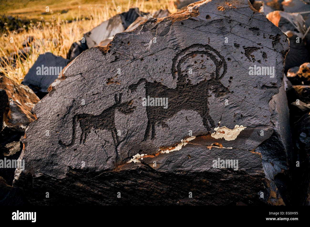 Ancient pictogram of animals on rock on Saimaluu Tash site in Kyrgyzstan Stock Photo