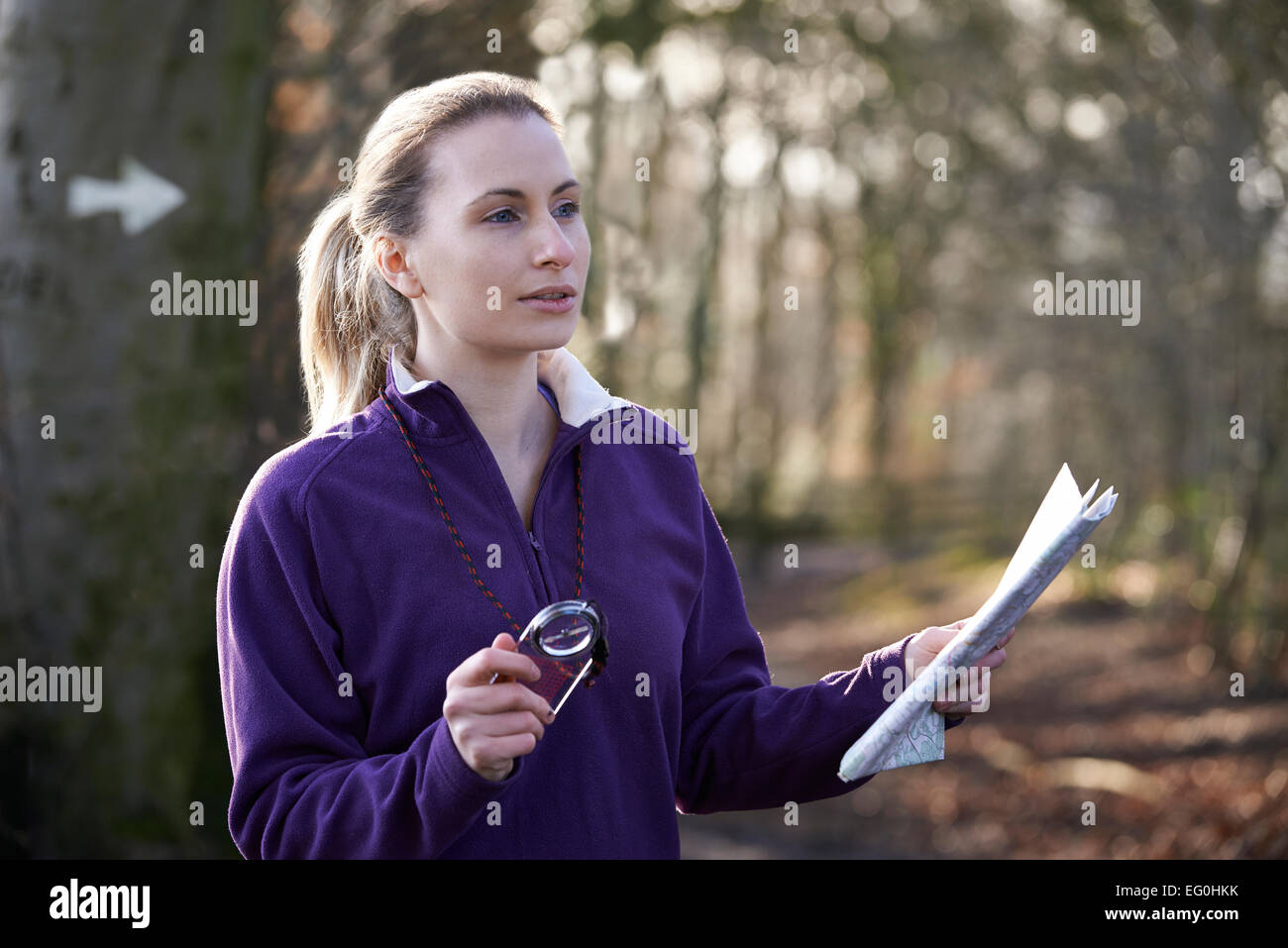 Woman Orienteering In Woodlands With Map And Compass Stock Photo