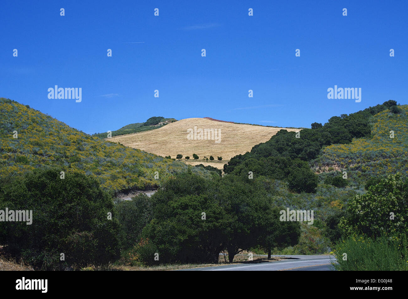 USA, California, Carmel Valley, Rural landscape Stock Photo