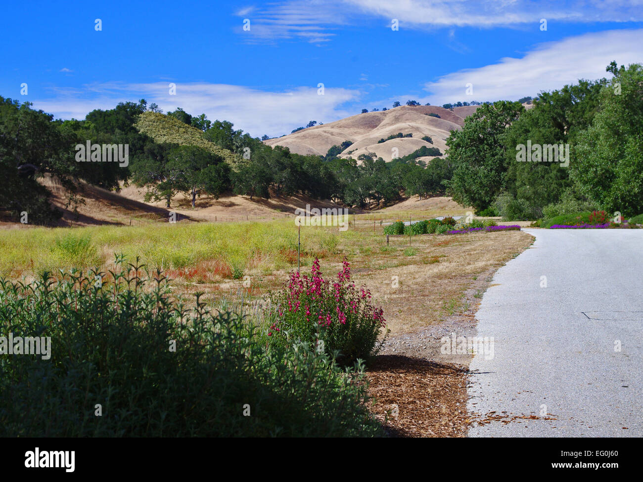 USA, California, Carmel Valley, Rural landscape Stock Photo