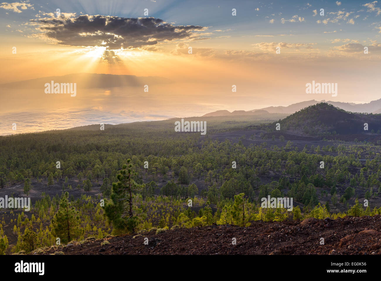 Volcanic landscape at sunset, Tenerife, Canary Islands, Spain Stock Photo