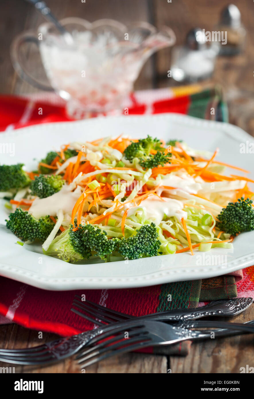 Coleslaw and dressing with mayonnaise and low fat yogurt Stock Photo