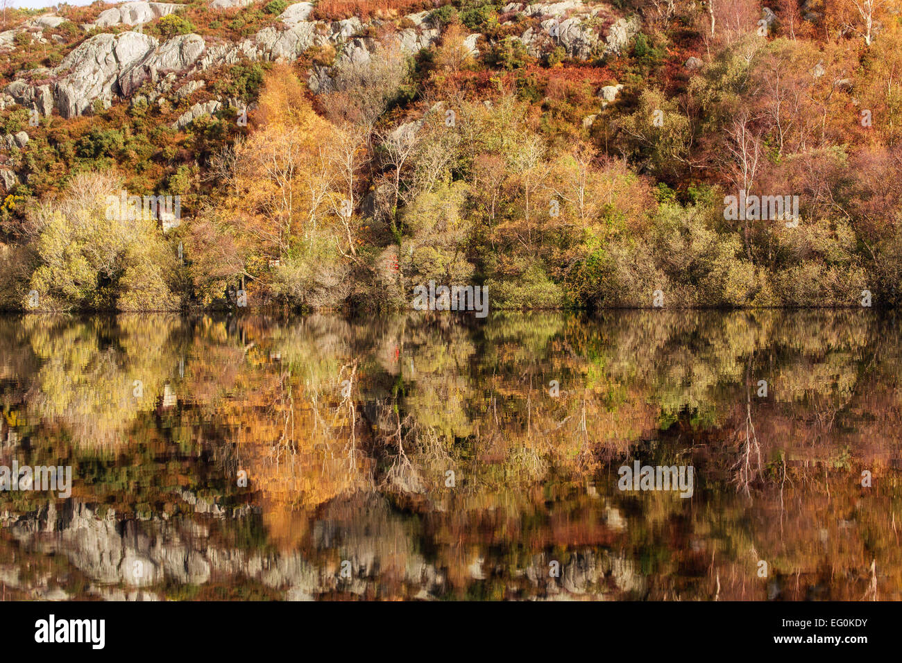 UK, Wales, Autumn Colors Reflected in Llyn Padarn Stock Photo
